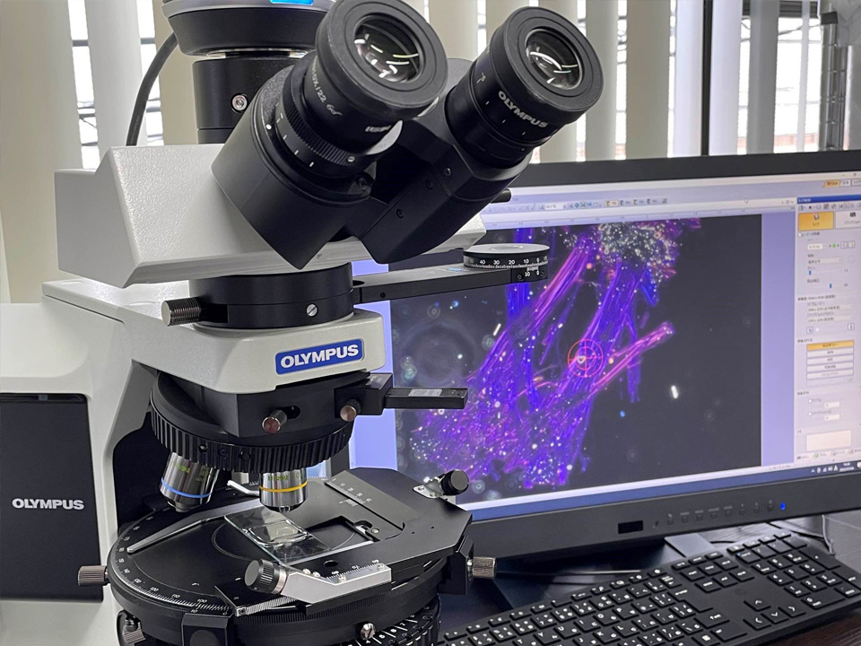 株式会社べスター